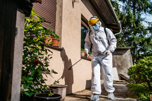 Best Affordable Pest Control Services  in Cheverly, MD