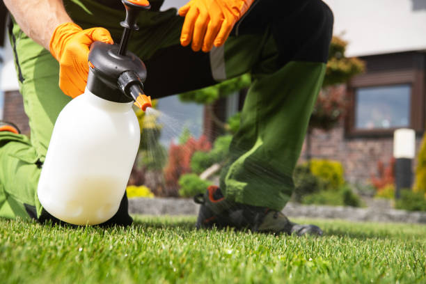 Best Mosquito Control Services  in Cheverly, MD