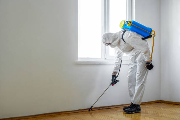 Best Cockroach Control Services  in Cheverly, MD