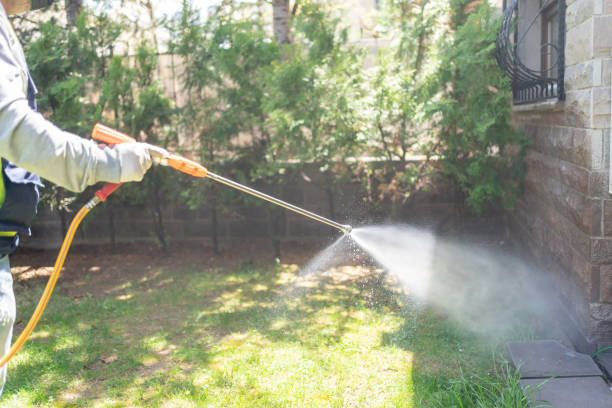Trusted Cheverly, MD Pest Control Experts