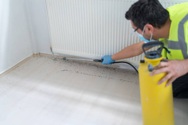 Best Ant Control Services  in Cheverly, MD